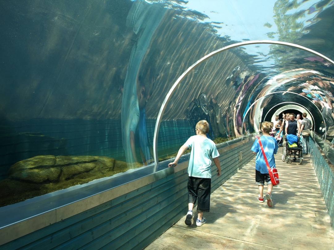 Colchester Zoo-科尔切斯特必去景点