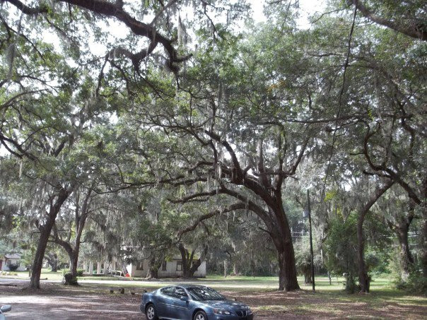 Penn Center-Saint Helena Island必去景点