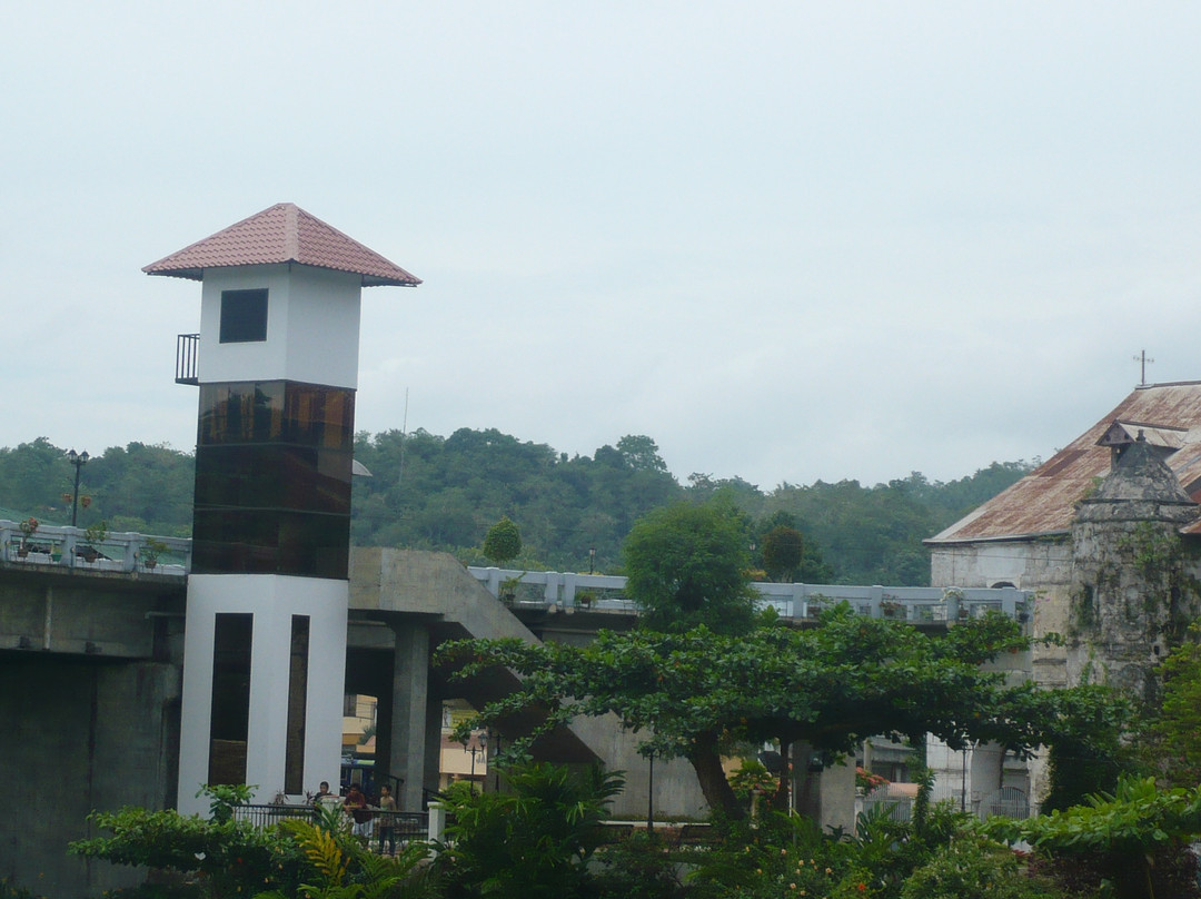 Loboc River Cruise景点图片