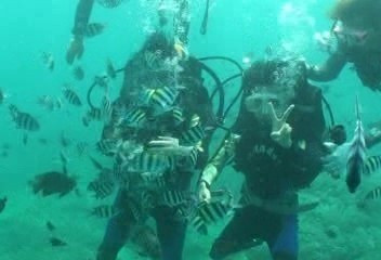 三亚美天涯热带海洋世界景点图片