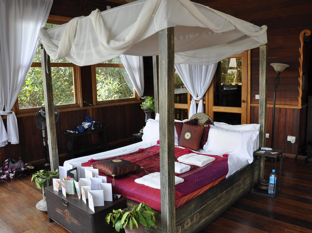 Mandina River Lodge
