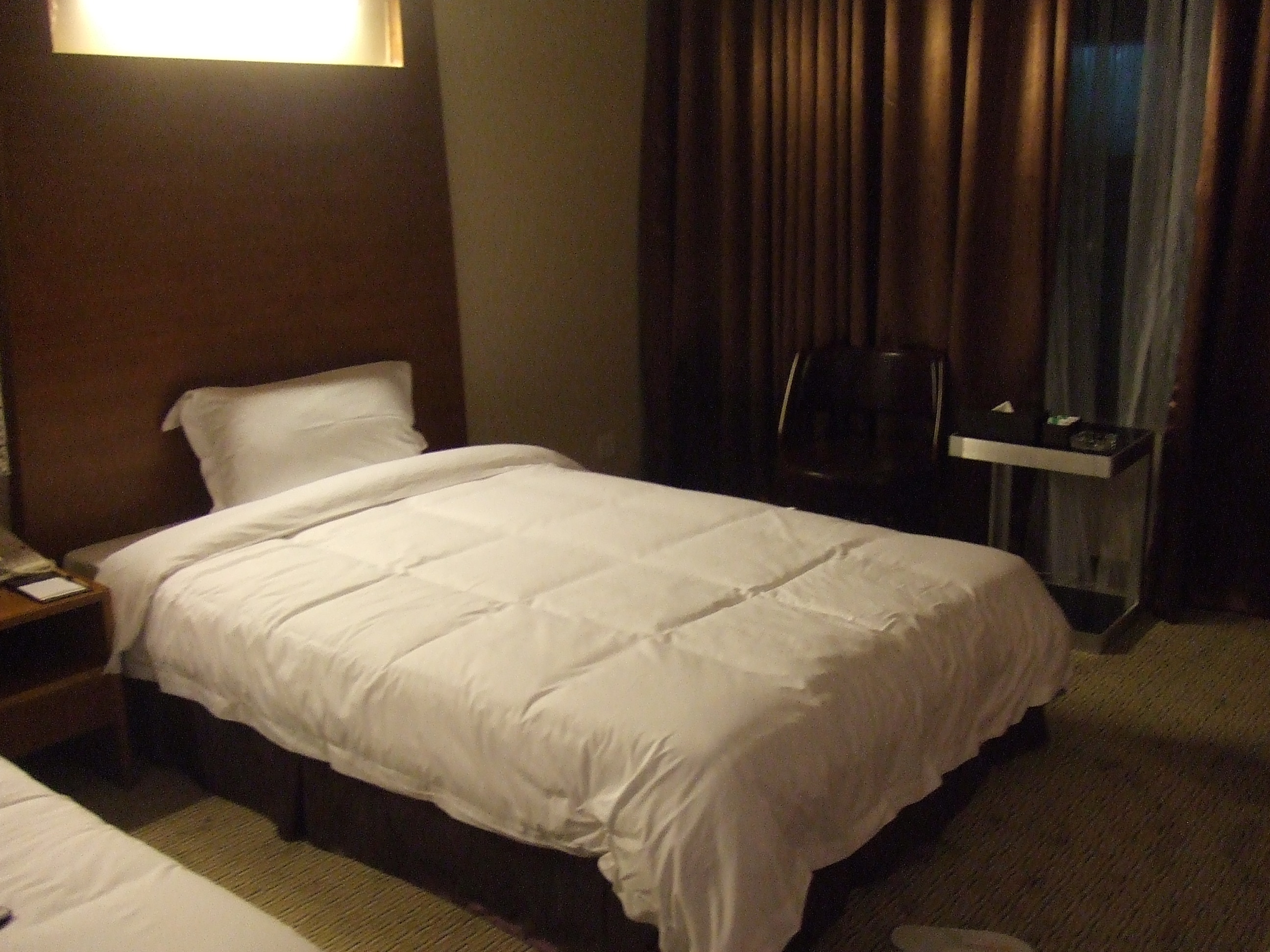 汇丰大酒店-客卧