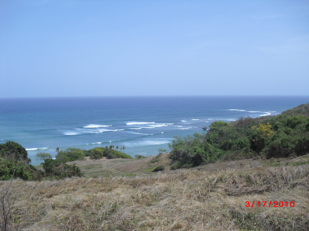 Ocean Echo Stables-Saint John Parish必去景点