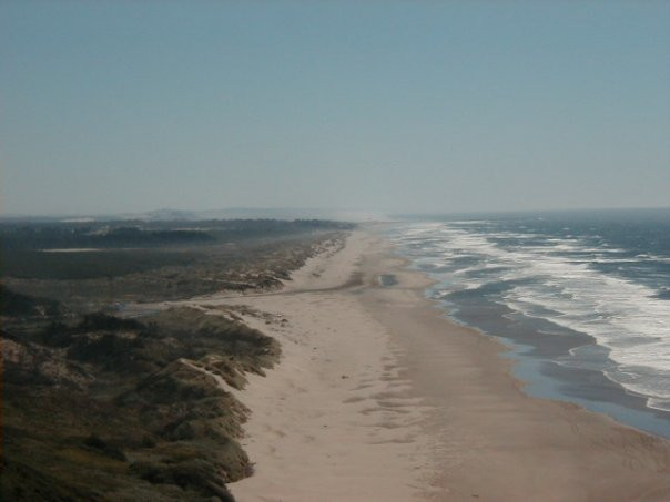 Sand Master Park - Sandboarding-弗洛伦斯必去景点