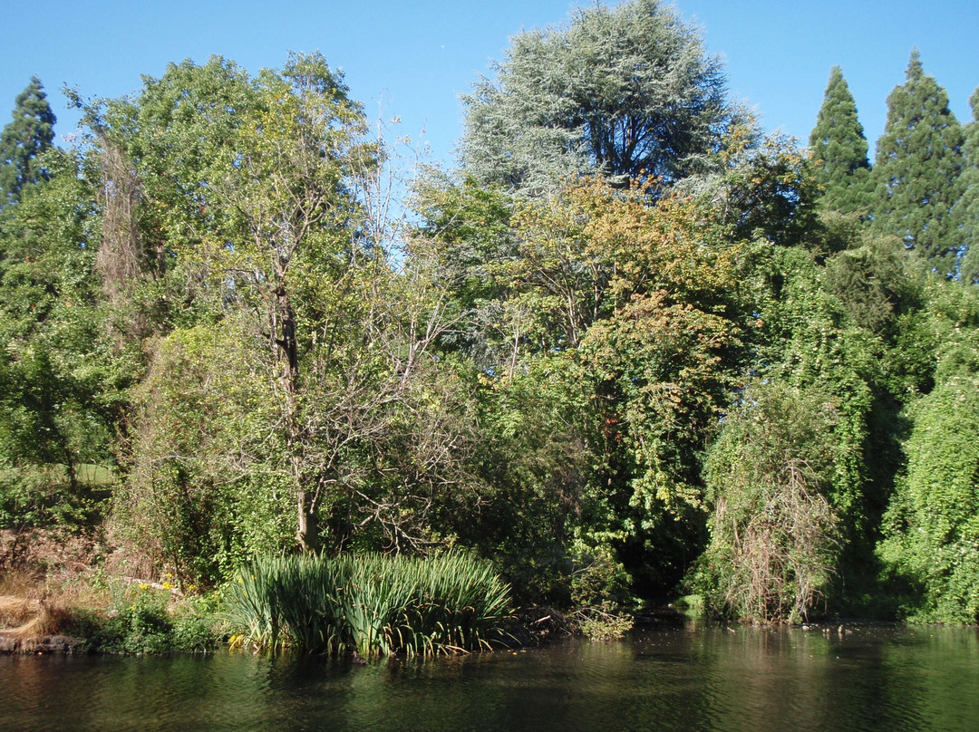 Crystal Springs Rhododendron Garden-波特兰必去景点