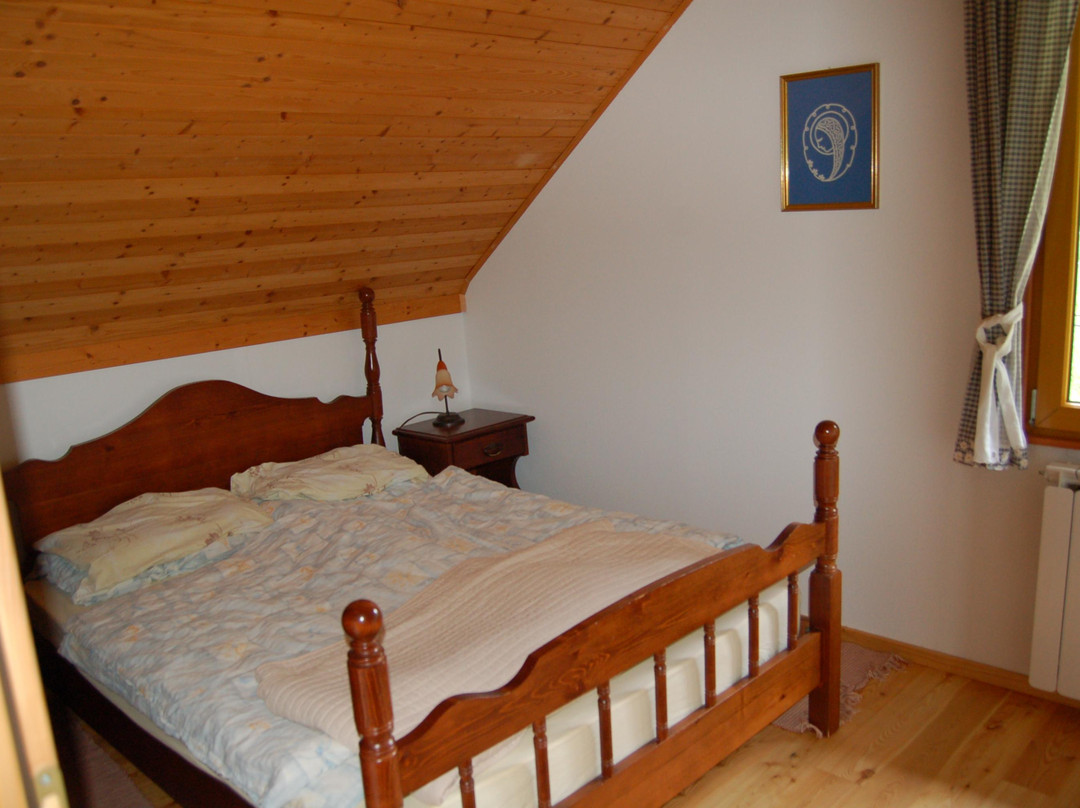 Organic tourist farm Pri Plajerju