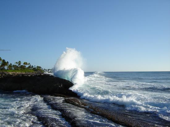 科奥利纳咸水湖-Ko Olina必去景点