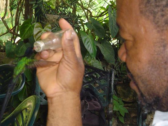 罗克兰兹鸟类保护区-Wiltshire必去景点