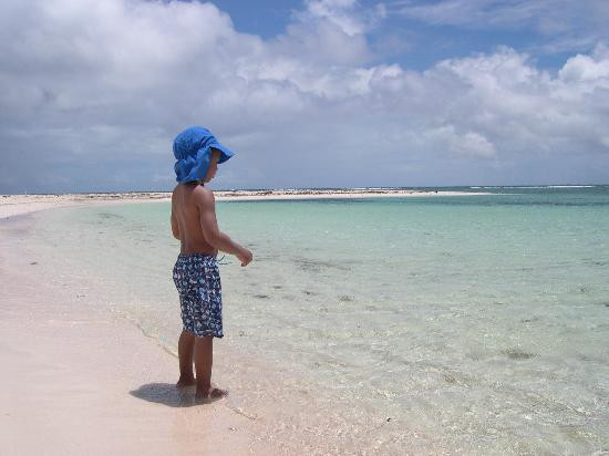 Point of Sand-Little Cayman必去景点