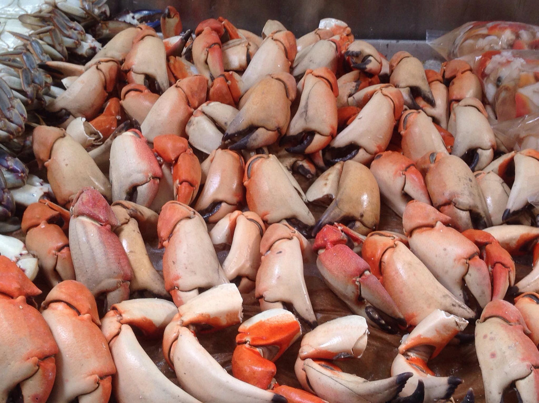 The Fish Market景点图片