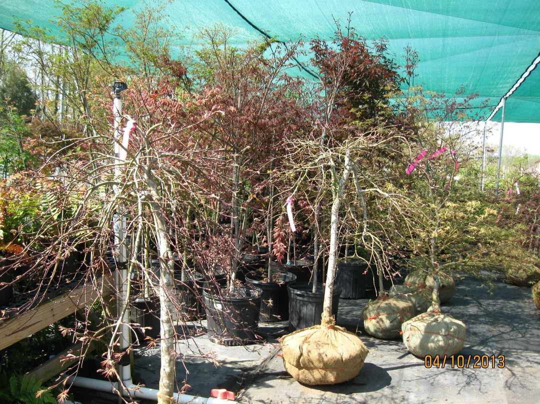 Kinsey Family Farm-盖恩斯维尔必去景点