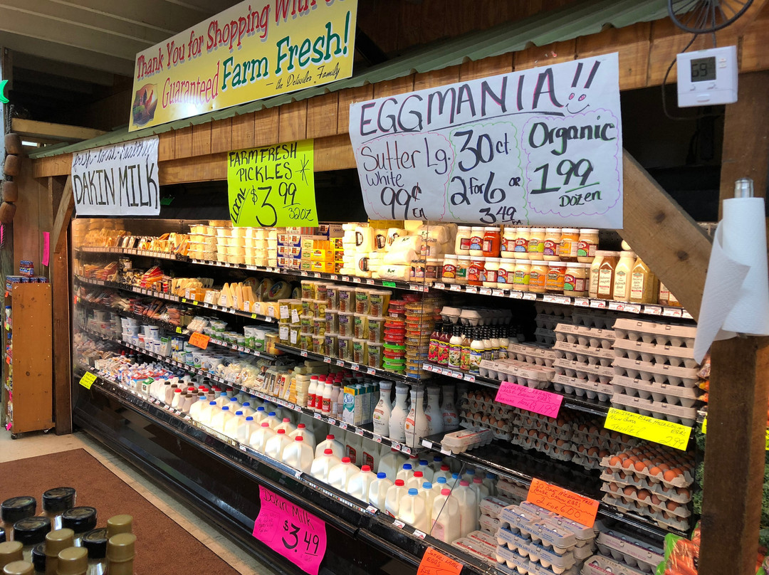 Detwiler's Farm Market-萨拉索塔必去景点