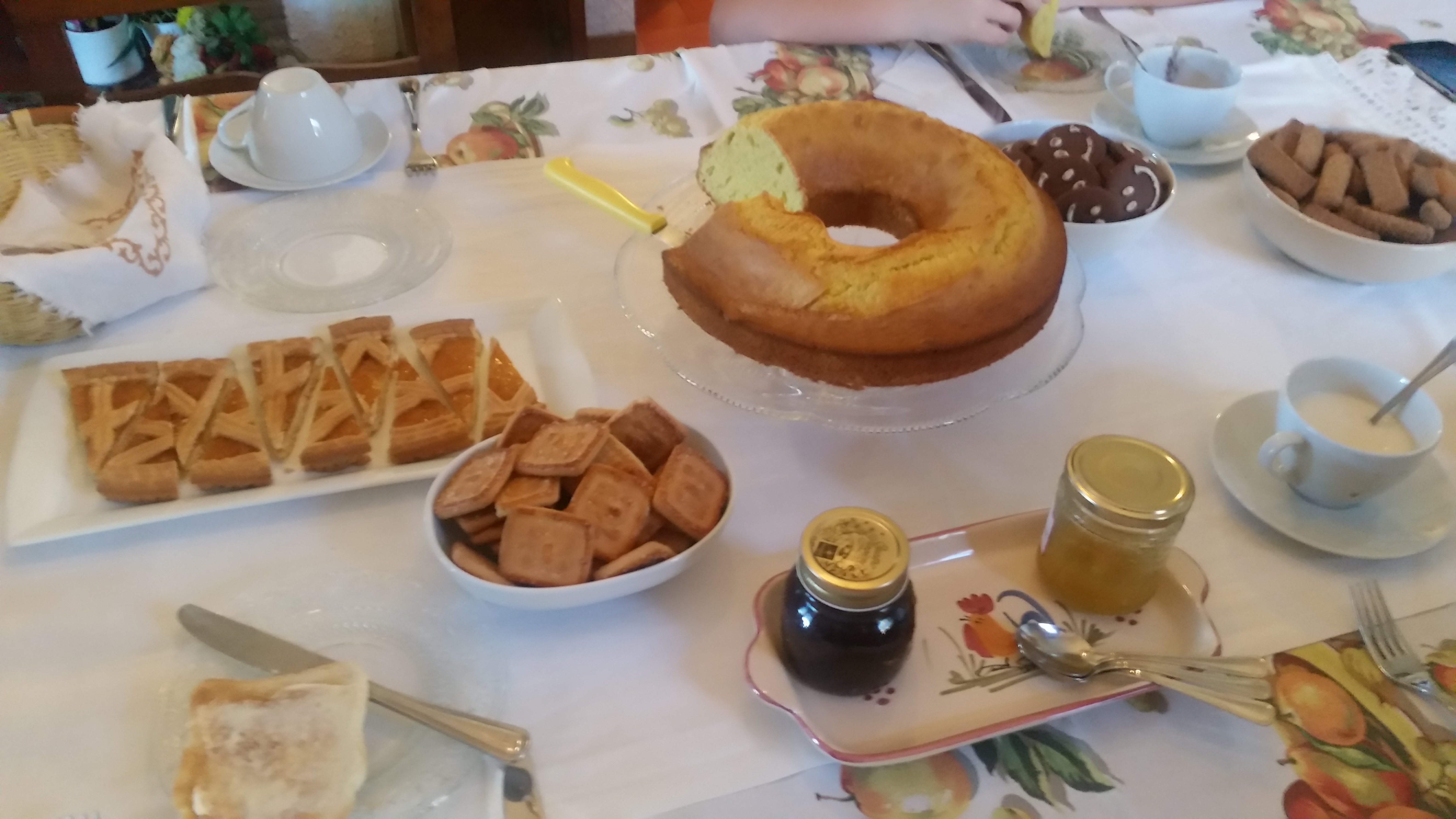 B&b the Garden-官方