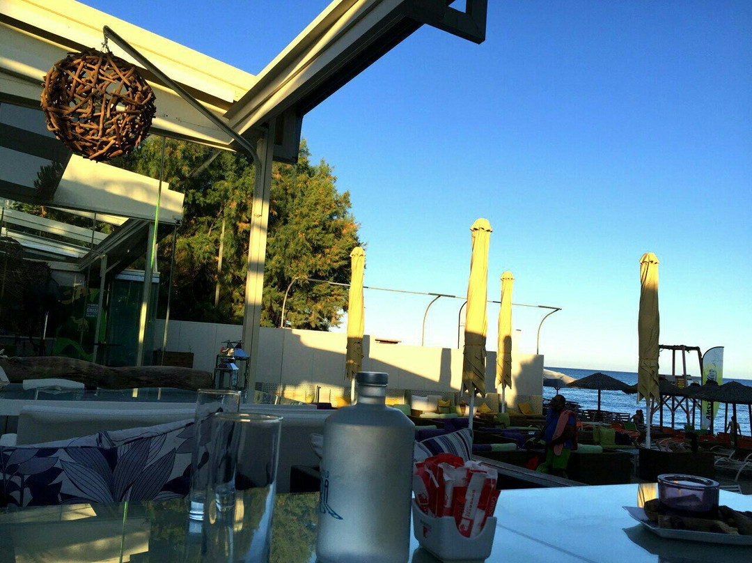 Riviera Bar Restaurant