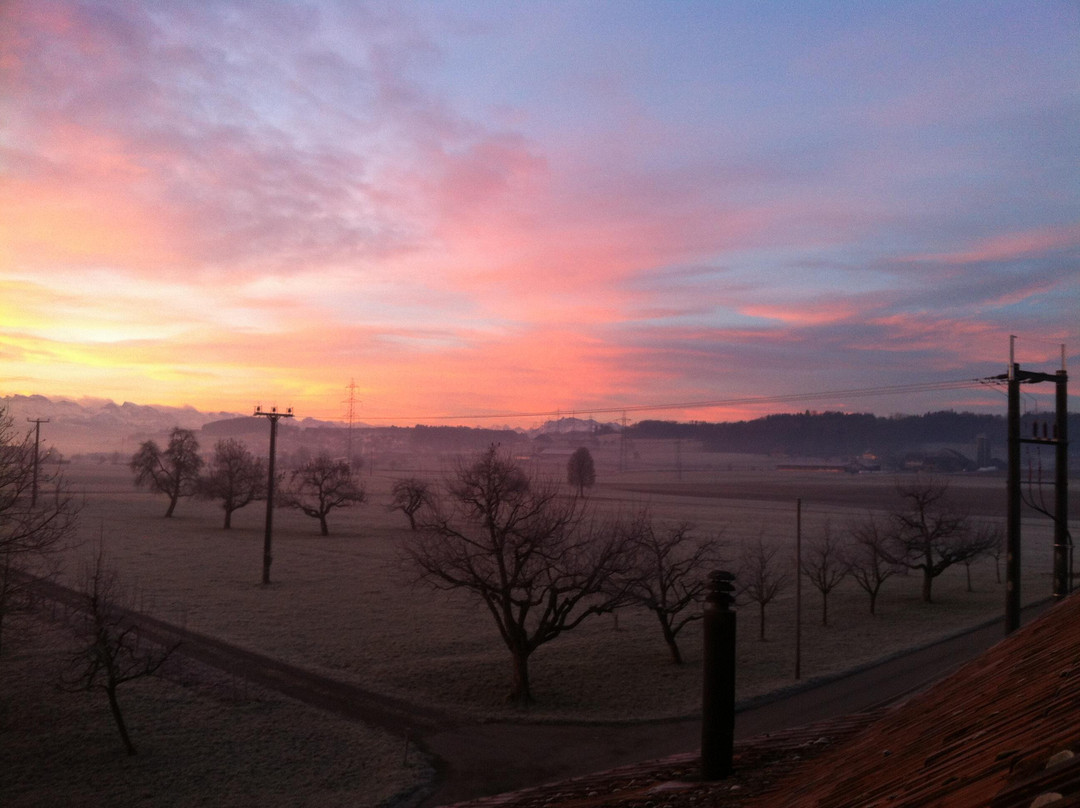 Hinterschoren