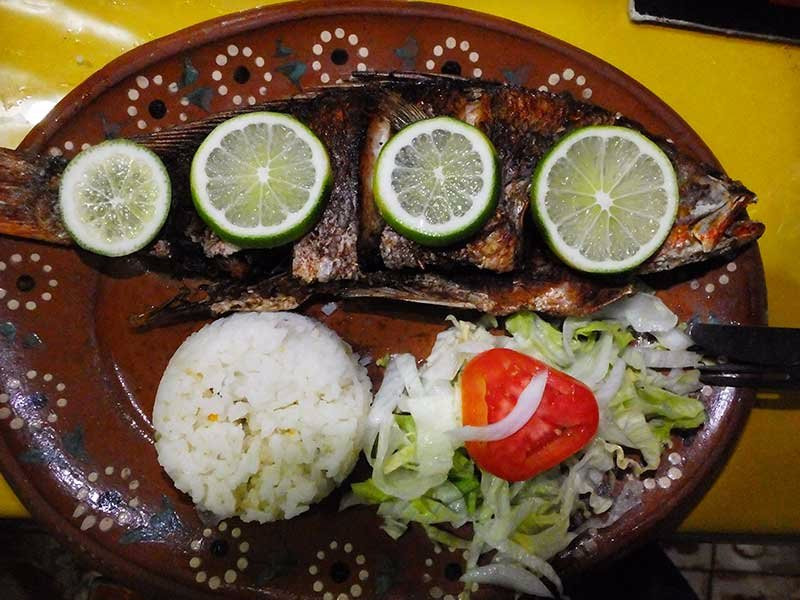 Mascota餐馆和美食-Restaurante Navidad