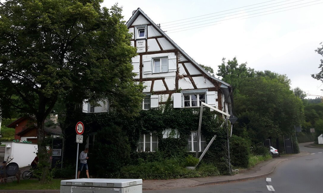 Moegginger Adler