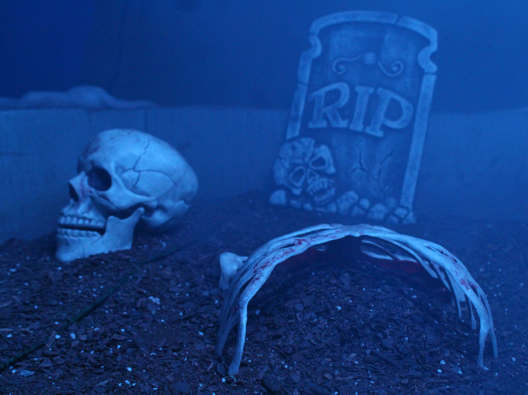 The Art of Escape ICT-威奇托必去景点