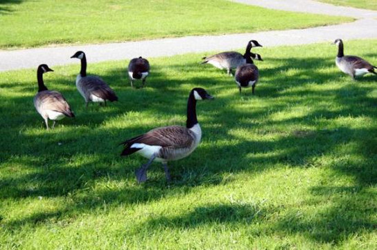 Brookville旅游攻略图片