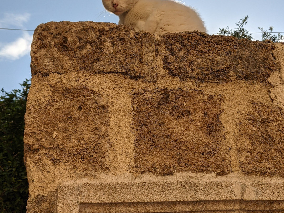 Agios Fanourios Church景点图片
