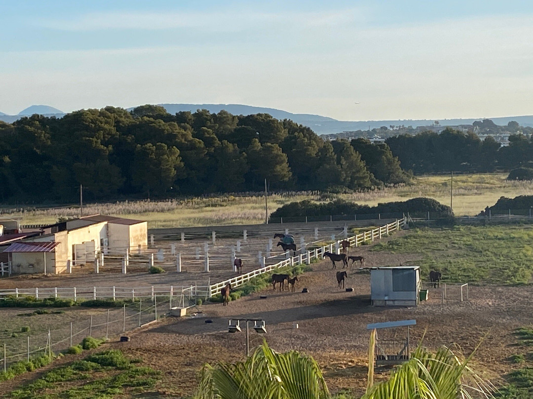 Hotel Don Miguel Playa主图