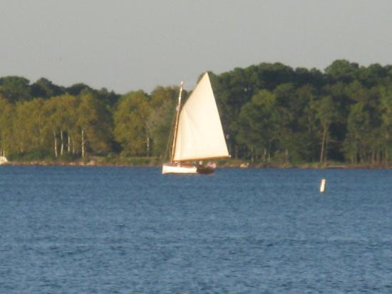 Sail Selina Ii景点图片