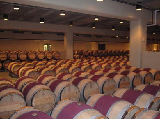 罗伯特蒙大菲酒庄-纳帕必去景点