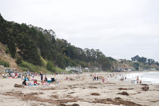 New Brighton State Beach-卡皮托拉必去景点