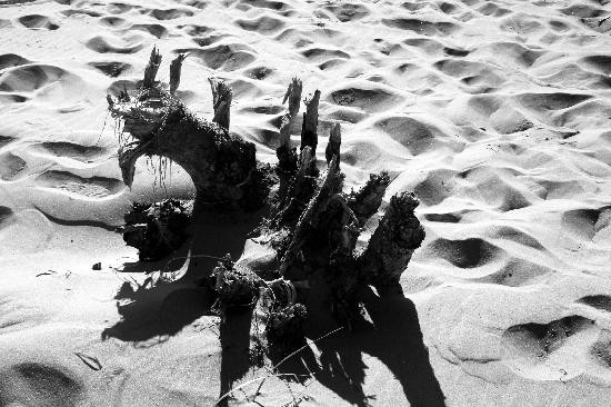 West Point Lighthouse-West Point必去景点