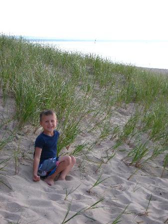 Leelanau State Park景点图片