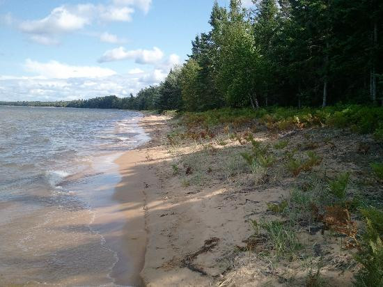 Whitefish Point Bird Observatory景点图片