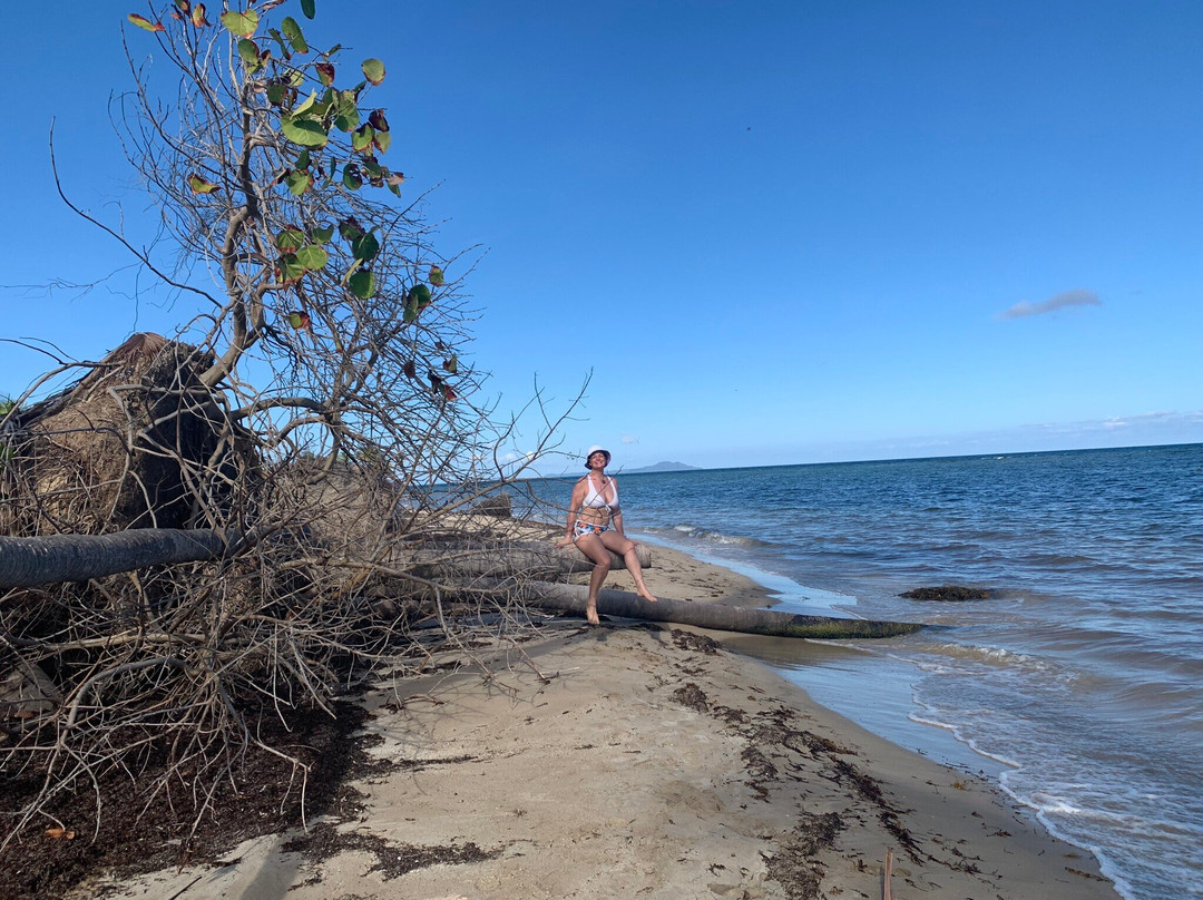 Palmas del Mar Beach-Humacao必去景点