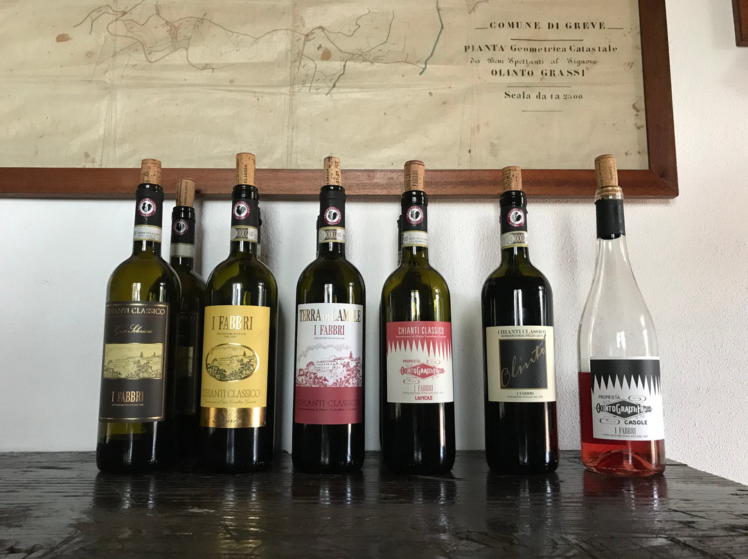 Castello di Lamole主图