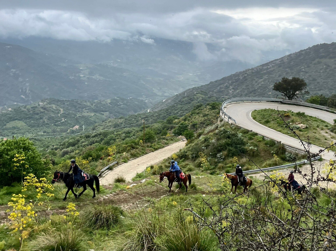 Ride Sicily景点图片