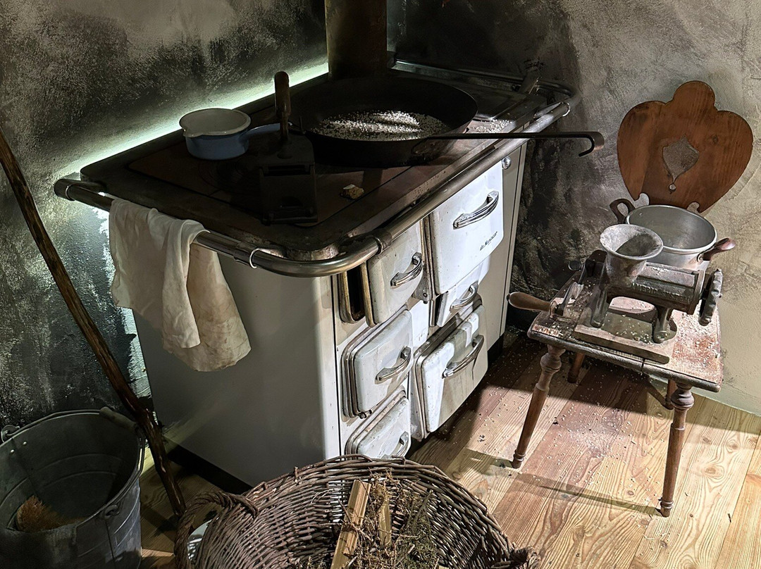 Speck Museum Speckworld景点图片