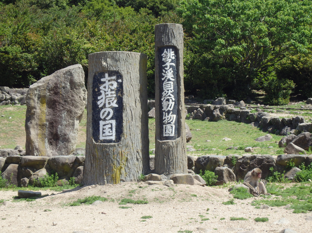 Osaru no Kuni景点图片