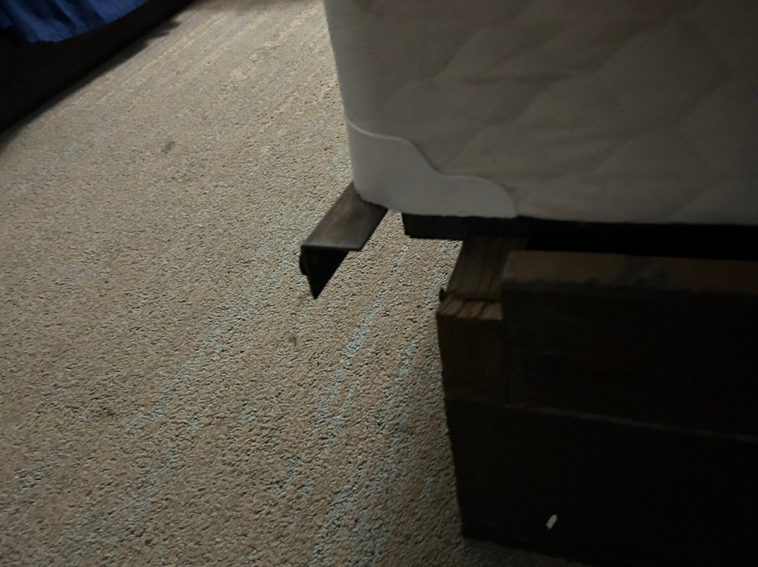 The Sand Dollar Motel主图