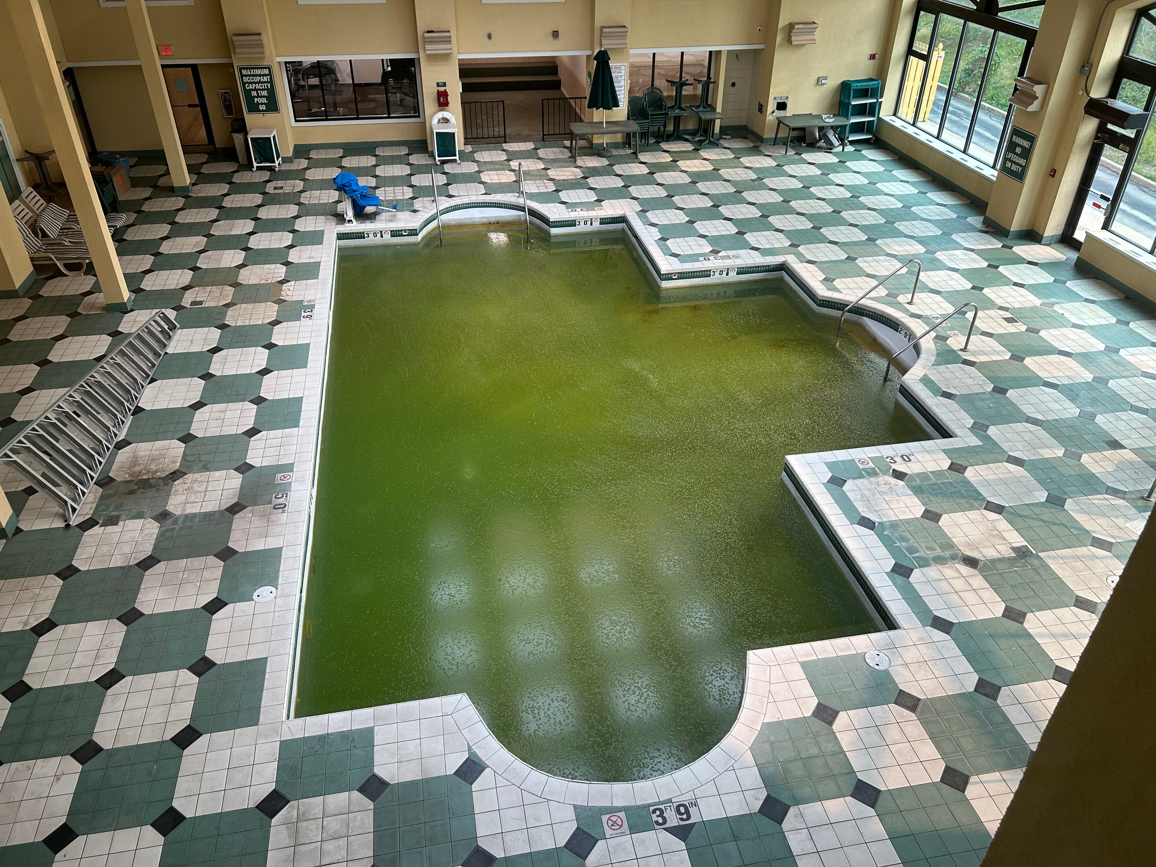 La Quinta Inn & Suites by Wyndham Milwaukee Bayshore Area-泳池