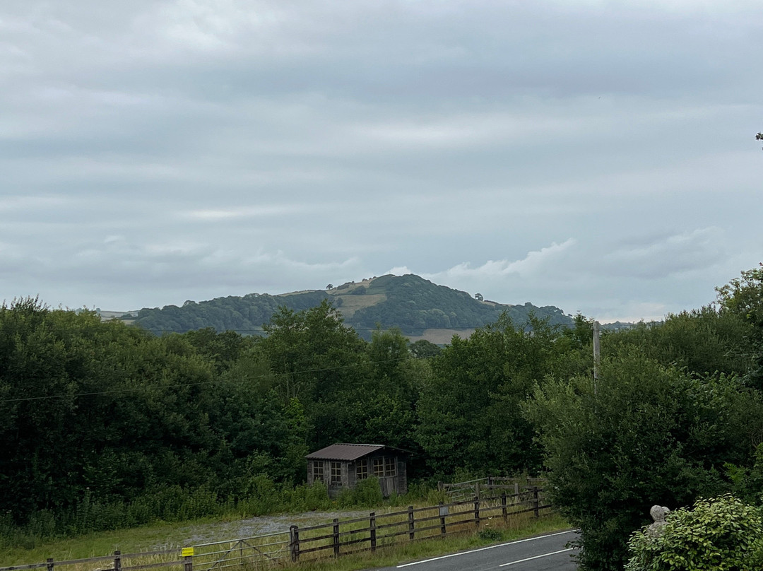 Bryn Hebog Bed & Breakfast主图