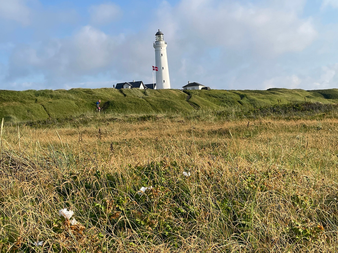 Hirtshals Fyr景点图片