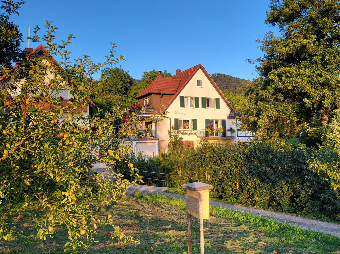 Haus Am Blauenbach主图