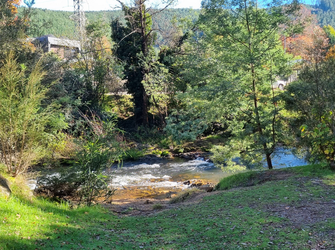 Cherry Walk Nature Trail-布赖特必去景点