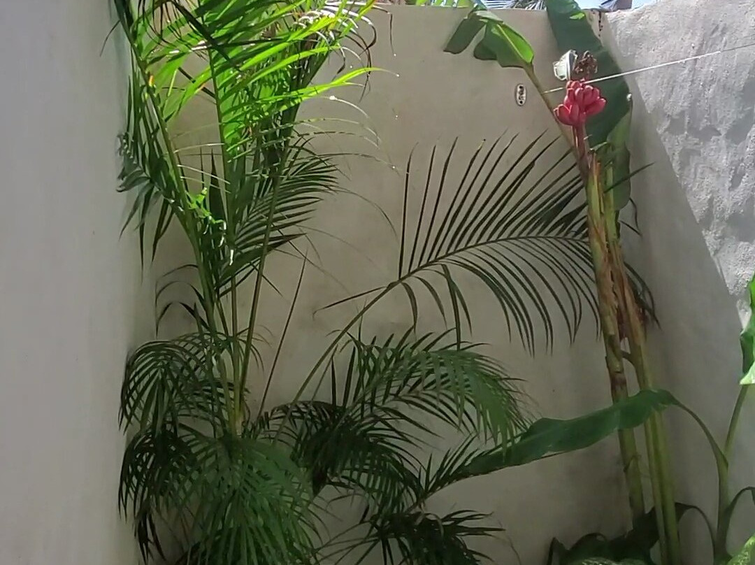 RCH Luxury Hotel & Pool主图