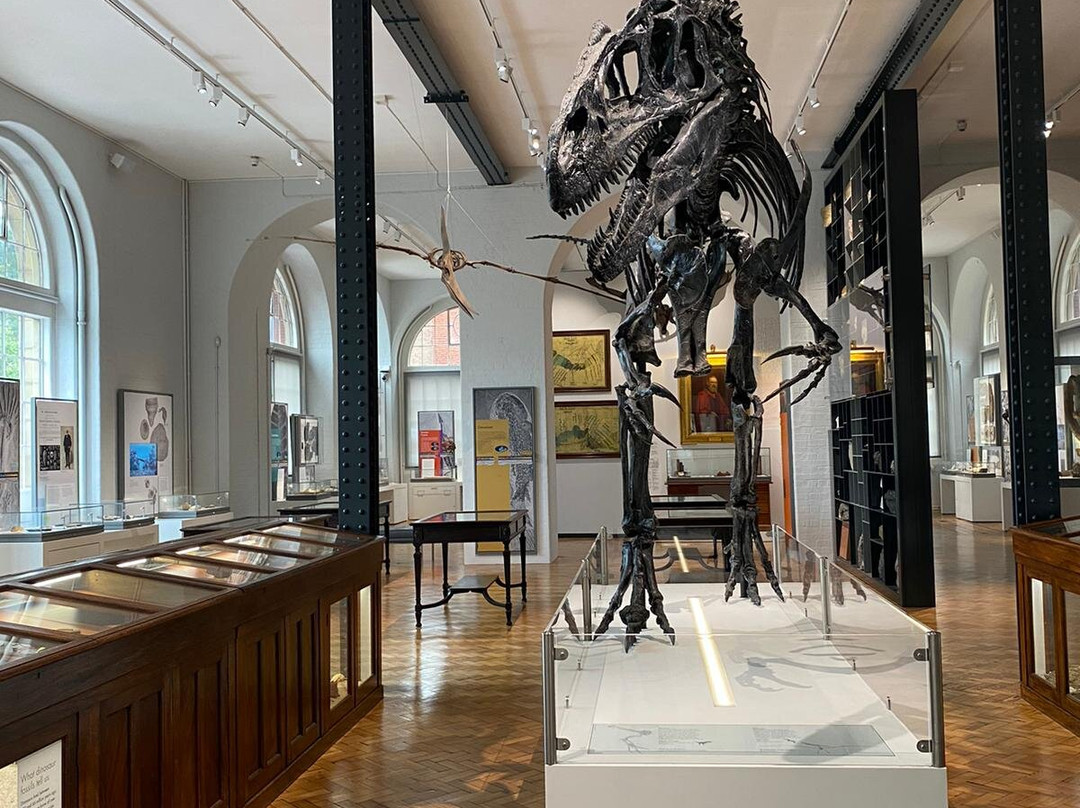 Lapworth Museum of Geology-伯明翰必去景点