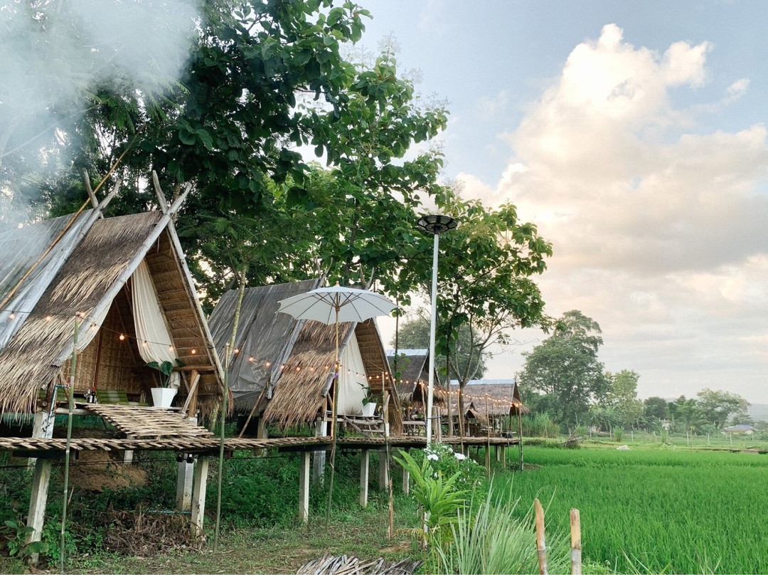 Paddy Fields Haven & Home Stay