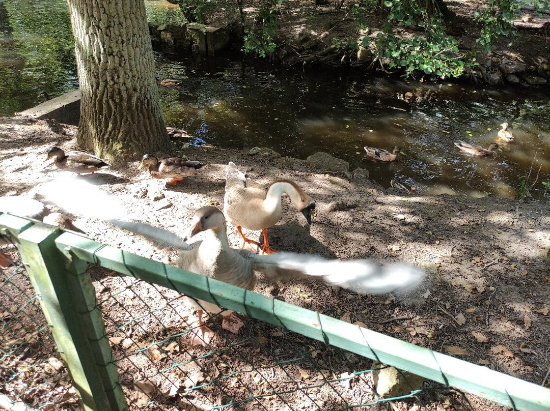 Vogelpark Haßloch景点图片