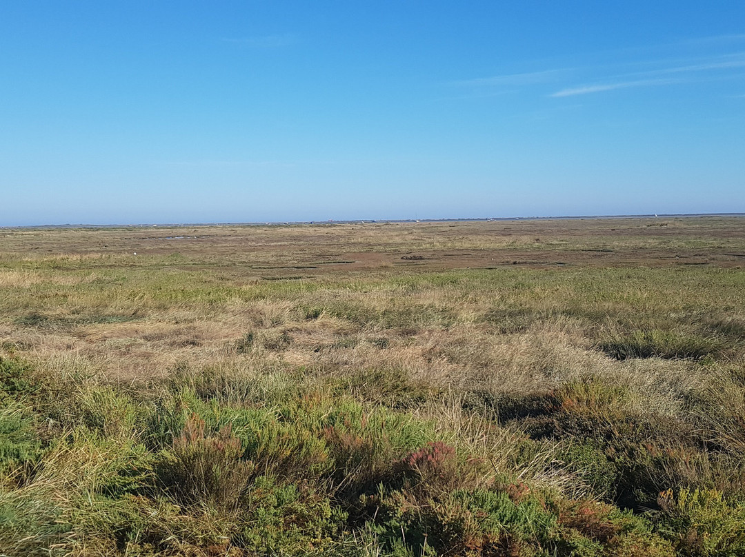 Norfolk Coast Path景点图片