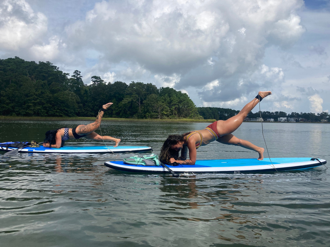 Rudee Inlet Stand Up Paddle-弗吉尼亚海滩必去景点