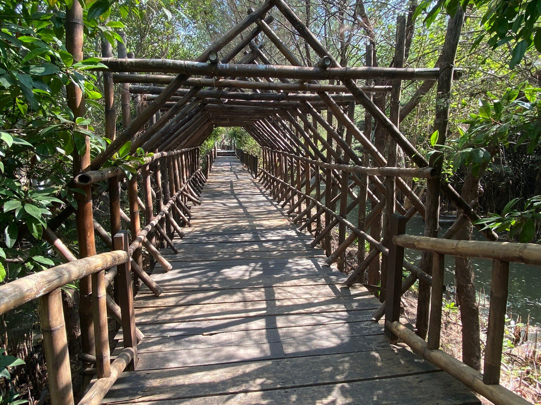Ekowisata Mangrove Wonorejo-泗水必去景点