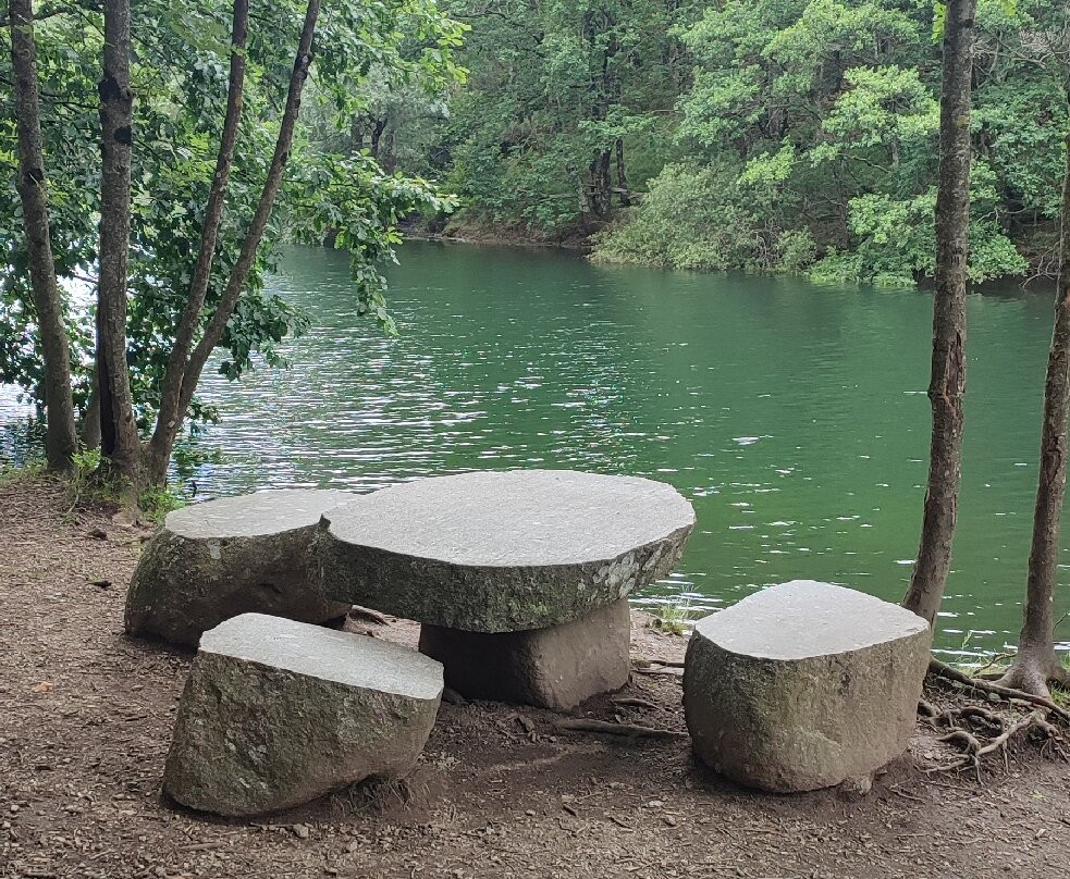 Lac de Villefort-Villefort必去景点